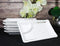 Pack Of 6 Modern Yukino Hana Melamine 2 Partitions Rectangular Sushi Plates