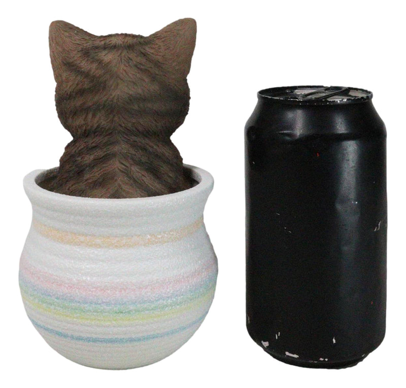 Lifelike Feline Kitty Brown Tabby Cat Blue Eyes In Pastel Artsy Pot Figurine