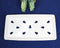 Pack Of 12 Ceramic White Neta Zara Sushi Case Plates With Drip Holes 8" By 4"