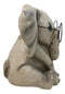 Safari African Savanna Whimsical Elephant Young Calf Wearing Glasses Figurine