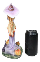 Amy Brown Halloween Purple Hat Pumpkin Witch with Mysterious Black Cat Figurine