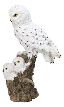 Snowy Owl Mother with Two Owlets Family Figurine on Snow-Covered Tree Stump
