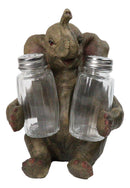Safari Jungle Wildlife Whimsical Elephant Figurine Salt & Pepper Shakers Holder