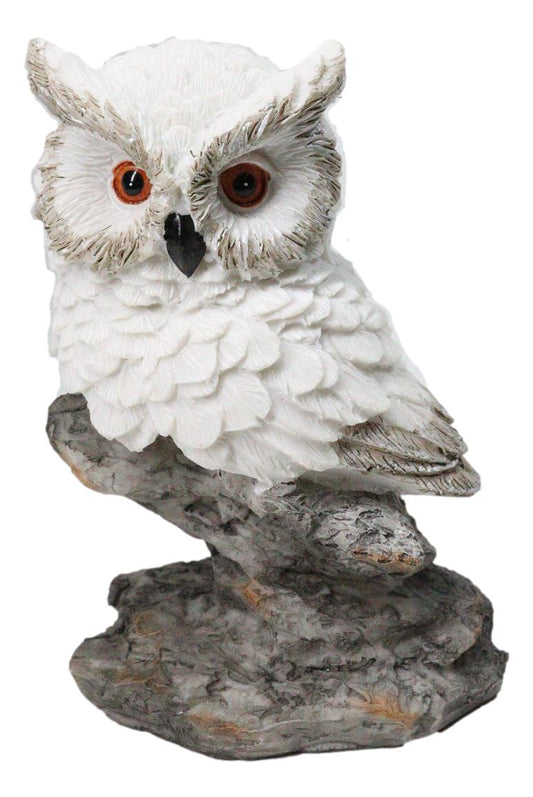 Whimsical White Snow Night Owl Perching On Tree Branch Figurine Decor