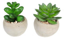 Set Of 8 Realistic Mini Artificial Botanica Green Succulents In Pots 2.25"H