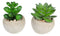 Set Of 8 Realistic Mini Artificial Botanica Green Succulents In Pots 2.25"H