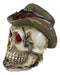 Western Old Wild West Cowboy Skull with Romantic Roses Barbed Wire Hat Figurine