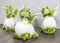 See Hear Speak No Evil Wise Dragons Family In Hatchling Egg Figurines Set Of 3