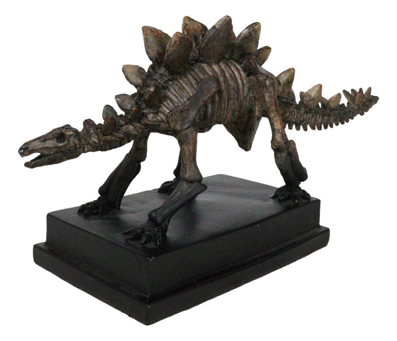 Faux Taxidermy Stegosaurus Dinosaur Fossil Figurine On Museum Display Base Stand