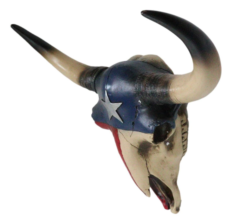 Southwest Longhorn Cow Steer Skull With Texas Lone Star State Flag Plaque