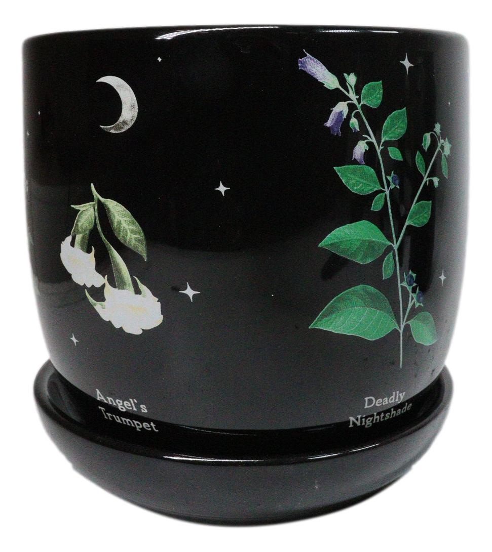 Witchcraft Magic Dark Forest Poisonous Plants Ceramic Planter Pot W/ Saucer Set