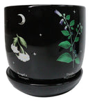 Witchcraft Magic Dark Forest Poisonous Plants Ceramic Planter Pot W/ Saucer Set