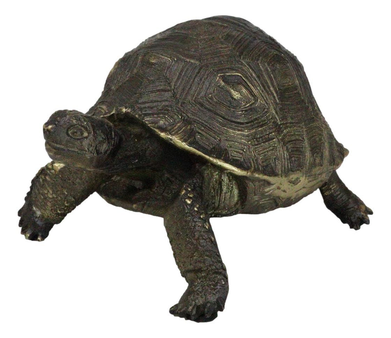 Marine Reptile Lifelike Galapagos Tortoise Taxidermy Replica Figurine 8"L