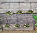 Set Of 6 Green Mother and Baby Sea Turtles Marine Wall Decor Tree Ornaments
