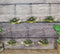 Set Of 6 Green Mother and Baby Sea Turtles Marine Wall Decor Tree Ornaments
