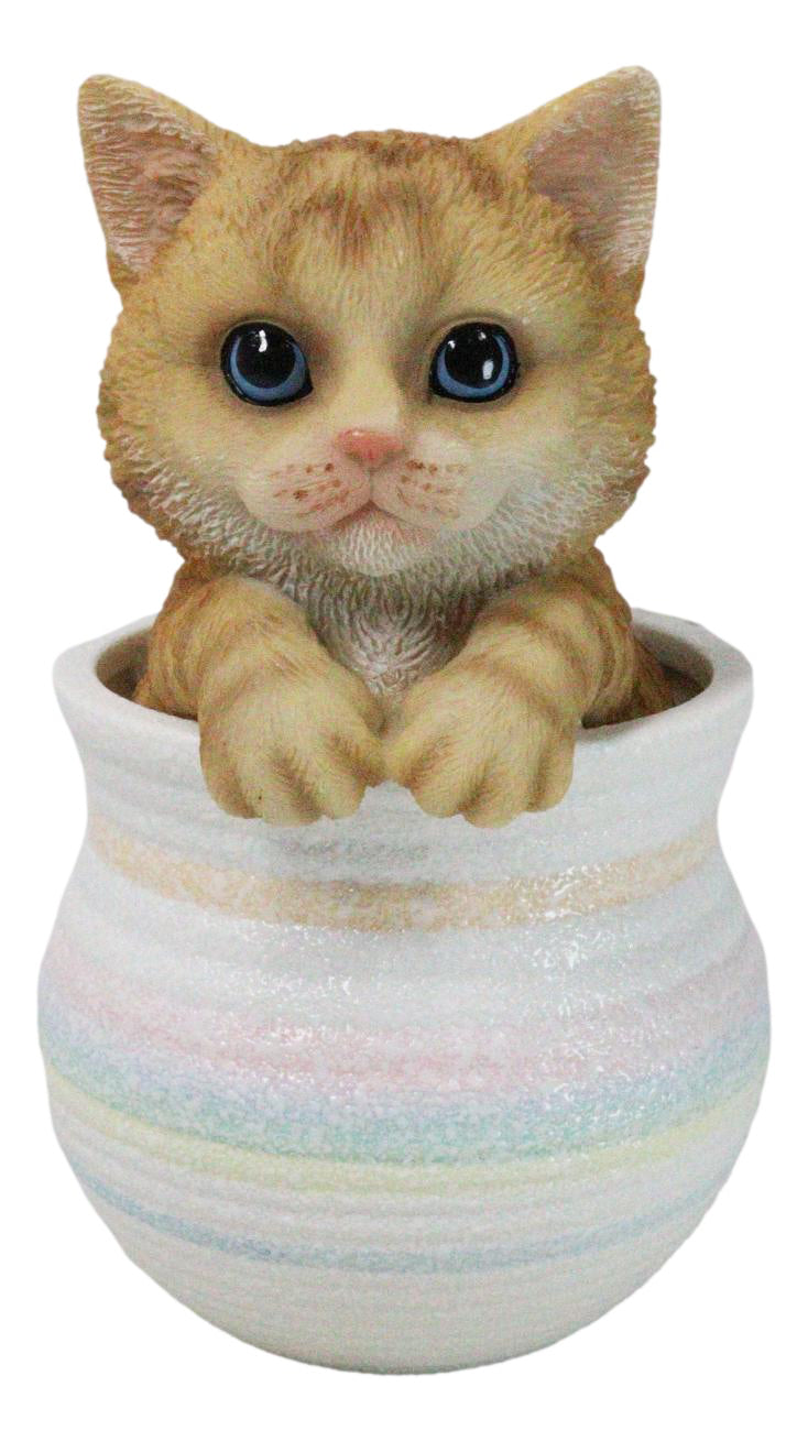 Lifelike Feline Kitty Orange Tabby Cat Blue Eyes In Pastel Artsy Pot Figurine