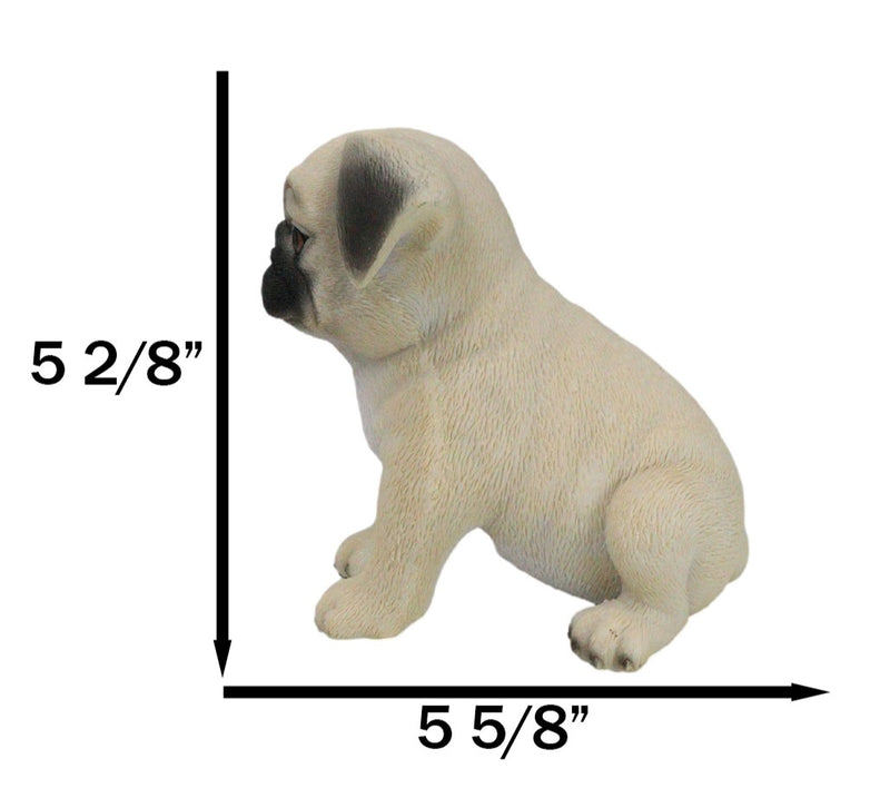 Realistic Lifelike Adorable Sitting Pug Dog Puppy Home Decor Figurine Pet Pal