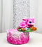 Cute Hot Pink Hatchling Dragon Sleeping On Coral Reef Decorative Trinket Box