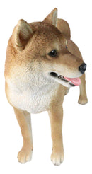 Realistic Adorable Canine Pet Pal Shiba Inu Dog Statue 18" Tall Home Decor