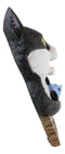 Whimsical Crazy For Cats Feline Kitty Black Cat Play Door Or Wall Hanging Sign