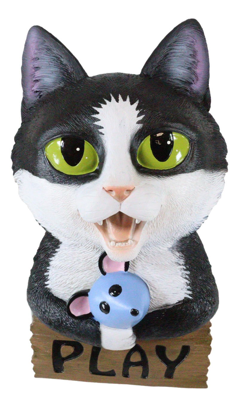 Whimsical Crazy For Cats Feline Kitty Black Cat Play Door Or Wall Hanging Sign