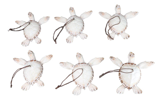 Set Of 6 Antique White Sea Turtles Ocean Marine Wall Hanger Decor Tree Ornaments