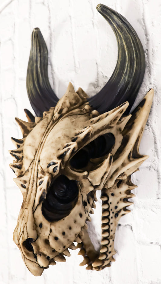 Jurassic Beowulf Gnarling Dragon Head Skull Realistic Fossil Wall Decor Figurine