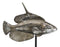Nautical Marine Silver Tone Lyretail Anthias Fish Sculpture With Pole Stand Base