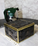 Faux Turtle Shell Print With Gold Trim Small Jewelry Trinket Box Figurine 5" L