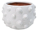 Nautical Ocean Marine White Sea Urchin Ribbed Design Terracotta Planter Pot