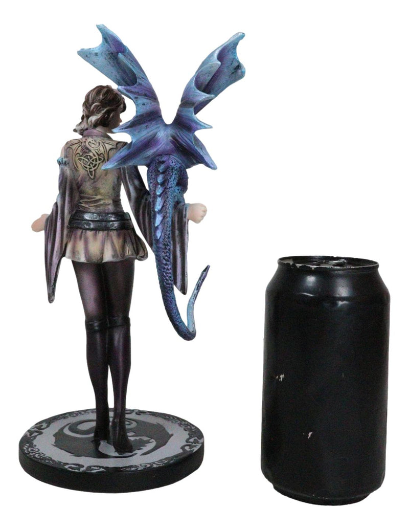 Fantasy Dragon Trainer Warrior Fairy Princess With Young Dragonling Figurine