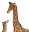 Safari Savannah Masai Giraffe Mother and Calf Sitting On Grasslands Figurine