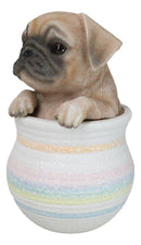 Realistic Puggy Pug Puppy Dog Figurine With Glass Eyes Pup In Pot Collection