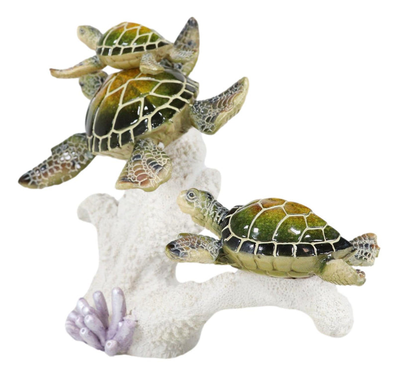 Marine Sea Turtle Mother And Hatchlings Swimming Over Ocean Reef Corals Statue