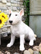 Ebros Gift 15.7" Tall Realist Bull Terrier Dog Home Decor Resin Figurine