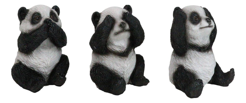 Set Of 3 See Hear Speak No Evil Whimsical Giant Panda Bears Mini Figurines