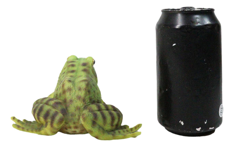 Amphibian Wild Creatures Realistic Green Frog Decorative Figurine