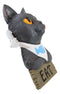 Whimsical Crazy For Cats Feline Kitty Grey Cat Eat Door Or Wall Hanging Sign