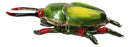 Green Stag Beetle Bug Enameled Pewter Austrian Crystals Trinket Jewelry Box