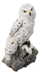 Snowy Owl Mother and Owlet Figurine on Snow-Covered Rock Nature Wildlife Bird