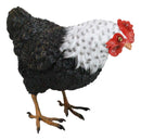 Rustic Western Country Iowa Blue Spotted White Breast Rooster Chicken Figurine