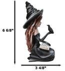 Gothic Pretty Enchantress Witch Holding Spell Book And Black Raven Crow Figurine