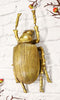 Ebros Large Gold Leaf Resin Scarab Dung Beetle Wall Sculpture Or Table Decor