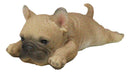 Adorable Frenchie French Bulldog Dog Fridge Magnet Figurine 5" Long
