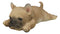Adorable Frenchie French Bulldog Dog Fridge Magnet Figurine 5" Long