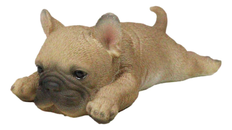 Adorable Frenchie French Bulldog Dog Fridge Magnet Figurine 5" Long