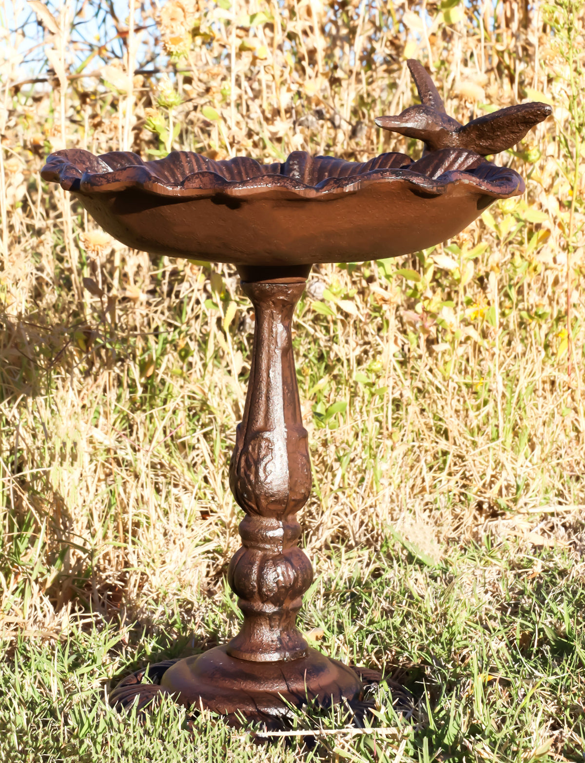 Rustic Cast Iron Hummingbird Perching On Flower Garden Bird Feeder Bath 10.5"H - Ebros Gift