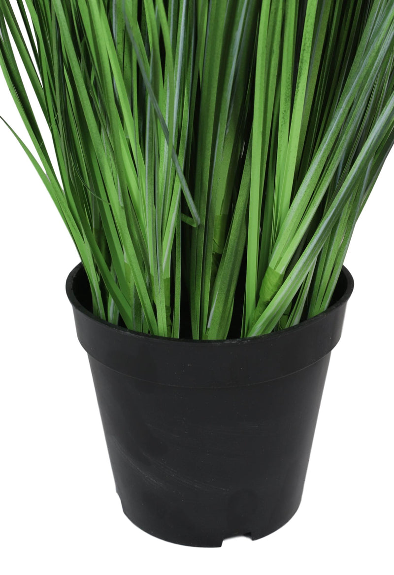 Large Realistic Lifelike Artificial Cyprus Grass Plant In Black Pot Botanica