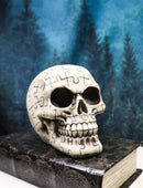 Ossuary Macabre Gothic Jointed Jigsaw Puzzle Cranium Skull Figurine 6"L