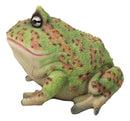 Amphibian Wildlife Realistic Green Bullfrog Frog In Stoic Posture Figurine 7"L